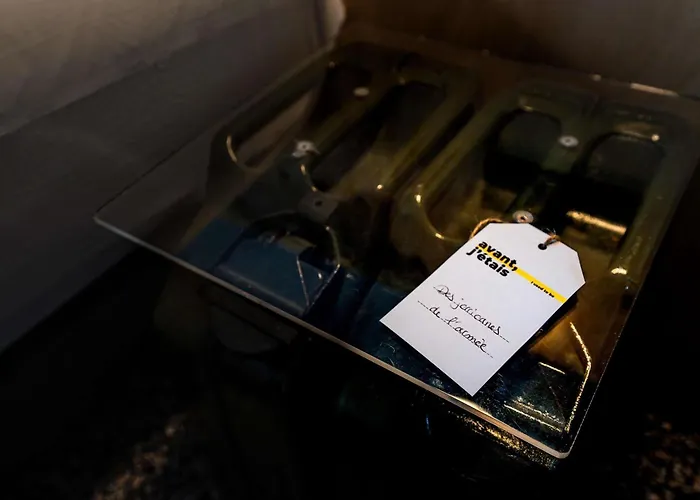 Greet Montpellier Aeroport Parc Des Expos